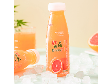 青春方程式红西柚果汁饮料290mL
