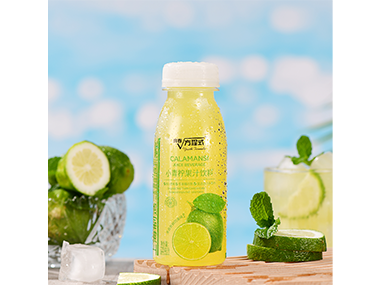 青春方程式小青柠果汁饮料220mL